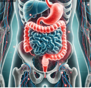 INTESTINO IRRITÁVEL