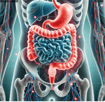 INTESTINO IRRITÁVEL